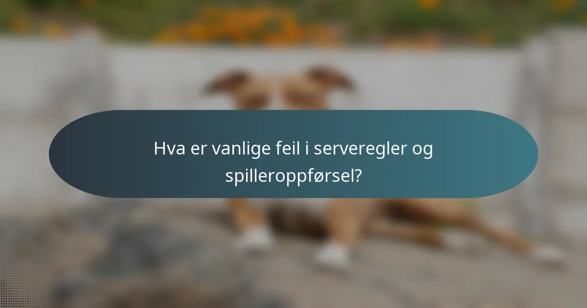 Hva er vanlige feil i serveregler og spilleroppførsel?