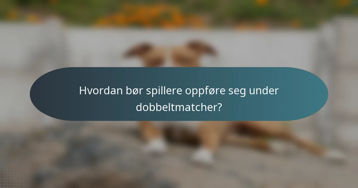 Hvordan bør spillere oppføre seg under dobbeltmatcher?